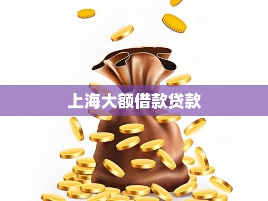 上海大额借款贷款 上海大额借款贷款